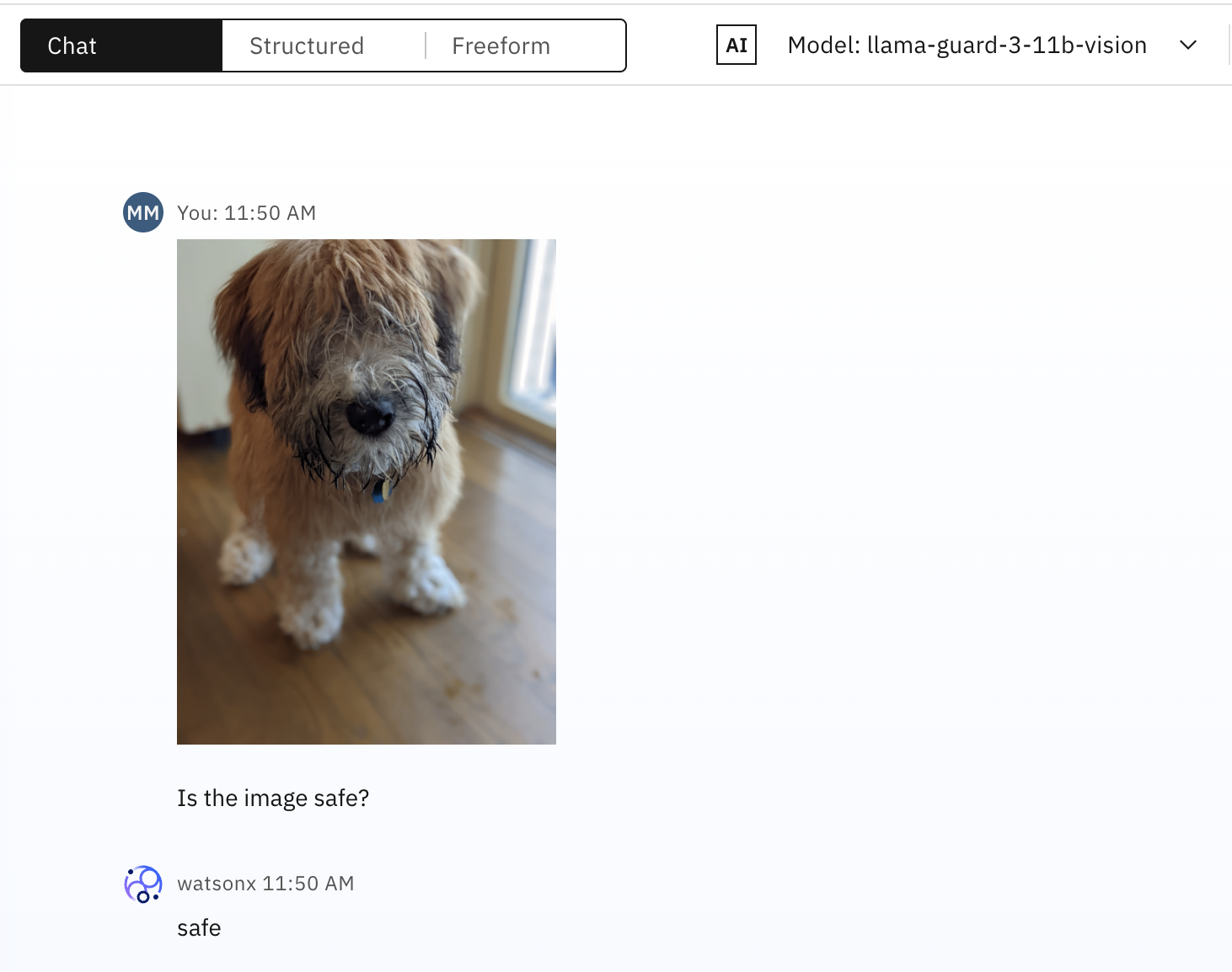 An image-to-text generation foundation model classifies a photo of a fluffy puppy as safe.