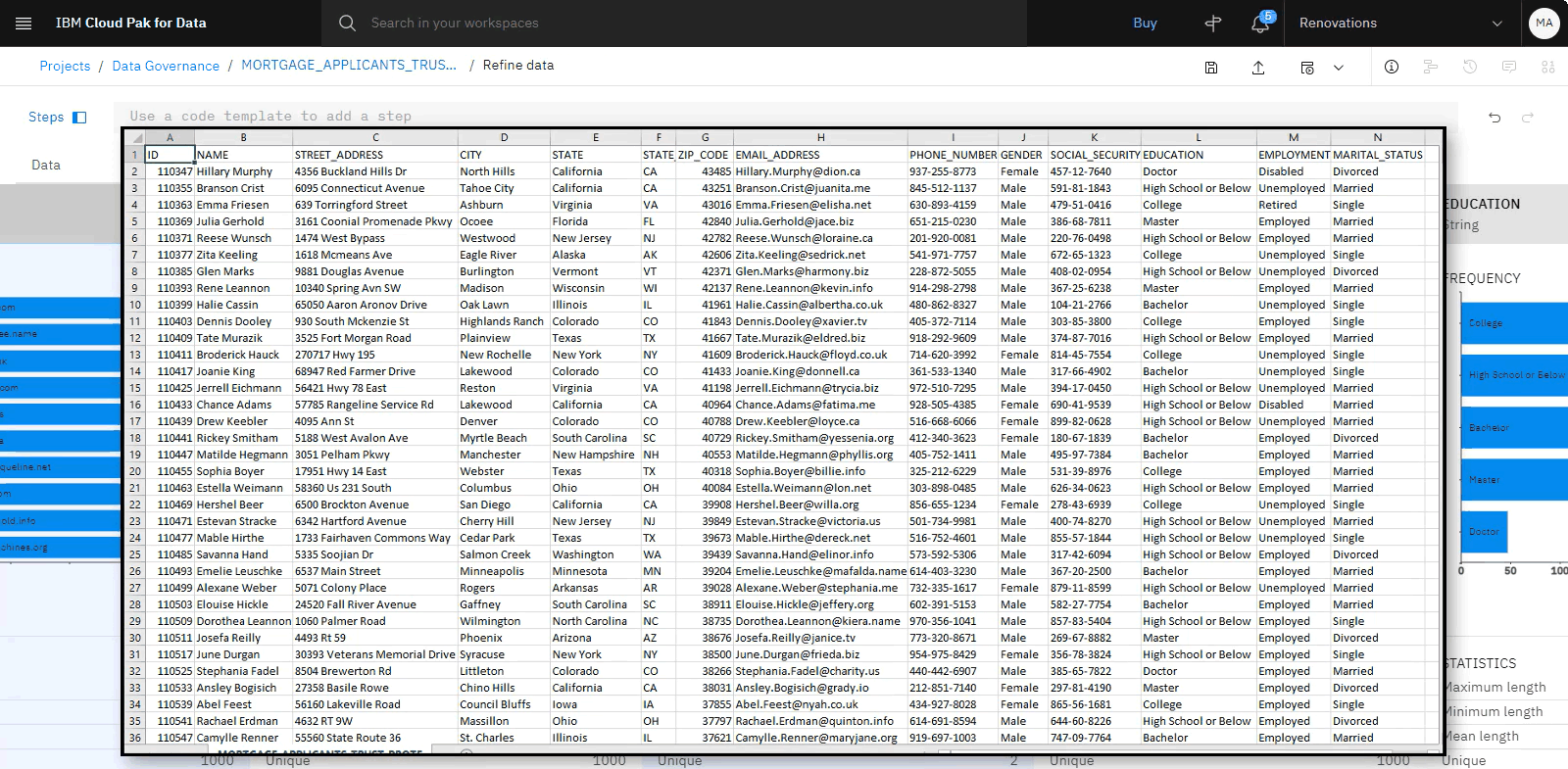 Refined data asset